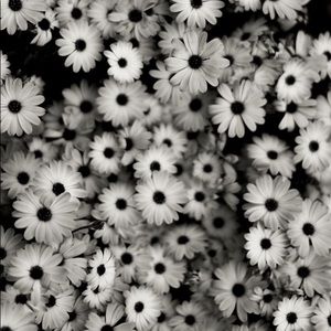 Meet your Posher, Marissa